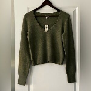 Aerie Sage Green Scoop Neck Crew Neck Sweater